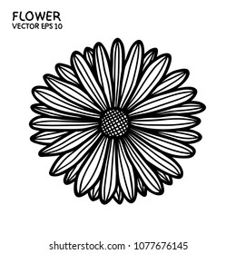 Vector flower black line doodle hand drawing style isolated on white background