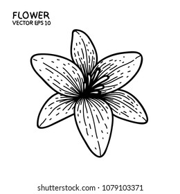 Vector flower black line doodle hand drawing style isolated on white background