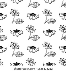 Vector flower black line pattern. Floral pattern, vector background. Decorative vector illustration, good for printing. Great for label, print, packaging, fabric.