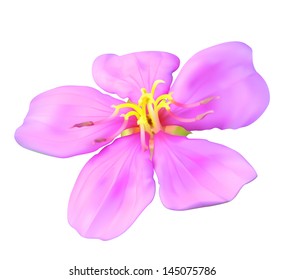 Vector flower in bloom abstract nature icon