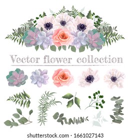 Vector flower border. Pink roses, white anemones, succulents, eucalyptus, green plants and flowers. All elements are isolated on a white background.