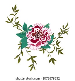 Vector flower bouquet, design element isolated on white background.Terry Petunia, peony and twigs with leaves.Greeting floral card.