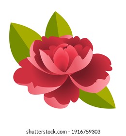 Vector flower bouquet, design element isolated on white background. Terry Petunia, peony pink, yellow and red and twigs with leaves. Greeting floral card.