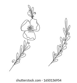 vector flower and branch illustration