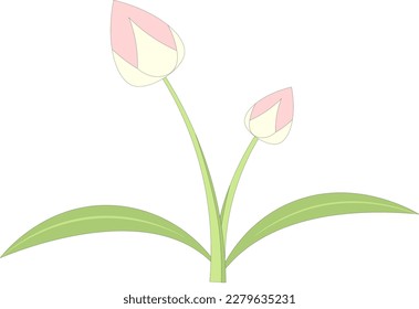 vector flower bud illustration to complete your design

