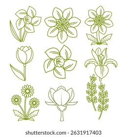 Vector flower clipart. Collection of spring flower clipart. Floral illustration set on clip art, leaf, tulip, lily, orchid on white background. Colourful flower elements with leaves, flower bouquets