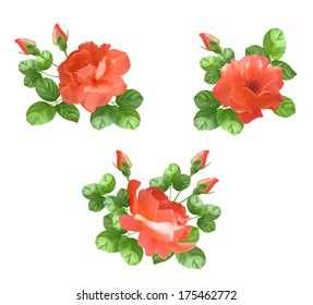Vector flower collection. Beautiful red rose blossoms on white background. Set of floral design elements