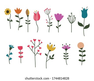 vector flower collection  floral illustration