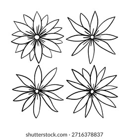 Vector flower collection hand drawn isolated on white background. Doodle illustration
