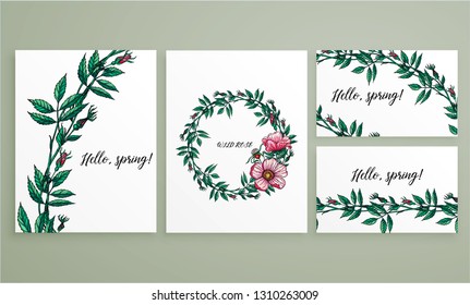 Vector flower color collection of cards and business cards with wild rose flowers.  WILD ROSE