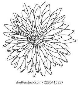 Vector flower for coloring book or page. Isolated flower