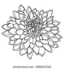 Vector flower for coloring book or page. Isolated flower