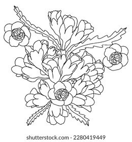 Vector flower for coloring book or page. Isolated flower