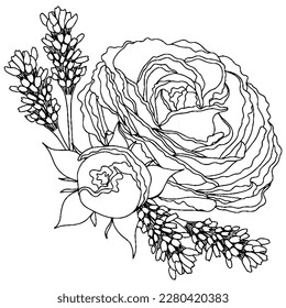 Vector flower for coloring book or page. Isolated flower