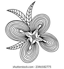 Vector flower for coloring book or page. Isolated flower