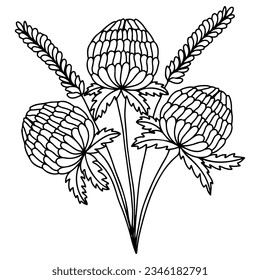 Flor vectorial para libro de colorear o página. Flor aislada