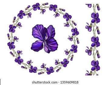 vector flower composites, frame. Violet