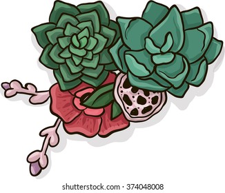 vector flower composition with succulent, lotus pond and poppy