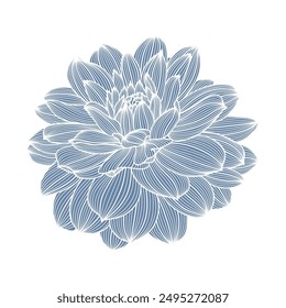 Vector flower dahlia. Abstract floral background. Element for design.