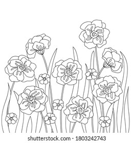 vector flower daisy poppy rose field bouquet card printable coloring page outline illustration