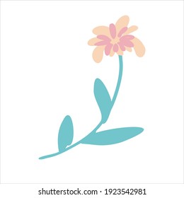 vector flower of delicate flowers Isolated on white background. spring flower as an element of decoration of postcards.