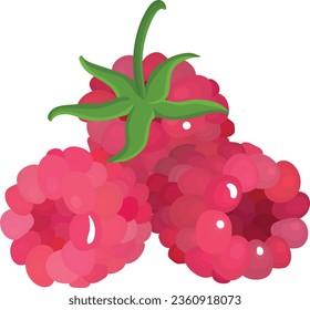 Vector flower design by illustrator