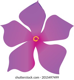 Vector Flower design, Isolated on white background use as wedding vector invite card 