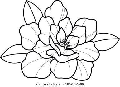 esbozo de diseño de flor vectorial 