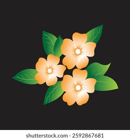 vector flower designs are colorful 