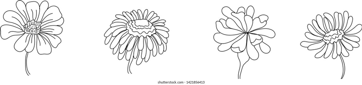 vector flower doodles by illustrator 