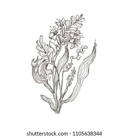 Vector flower drawing in line-art style isolated on white. Highly detailed hand drawn flower. Vintage  ink flower