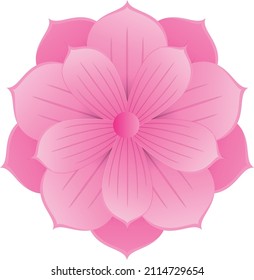 vector flower drawings. illustration flowers.