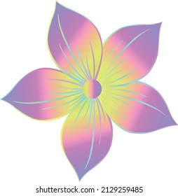 vector flower drawings. illustration flowers.