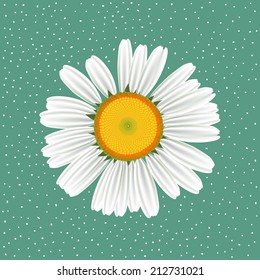Vector flower. Element very detailed.