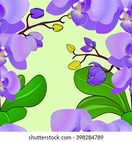 Vector flower exotic orchid. Seamless background.