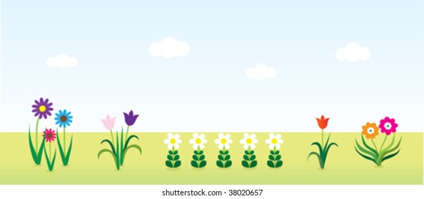 Vector Flower field