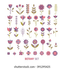 Vector  flower flat botany  collection isolated on white background. Set of  floral and herb elements, ecology signs and icons. 