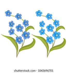 Vector. Flower forget-me-not-it's an emblem of loyalty blue light and dark blue color, illustrations in 3D.