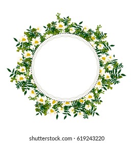 vector flower frame with, chamomile, decorative plants for greeting cards, invitations of wedding, birthday, mother's day 