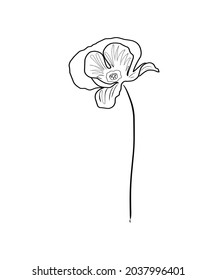 Vektorblume. Grafikblume auf weißem Hintergrund. florale 1-zeilige botanische einfache flache Grafik