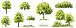 Vector Of Flower Grass Or Blooming Shrub Isolated On White Background,tree Elevation For Landscape Concept,environment Panorama Scene,eco Design,meadow For Spring