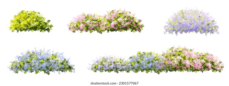 Vector of flower grass or blooming shrub isolated on white background,tree elevation for landscape concept,environment panorama scene,eco design,meadow for spring