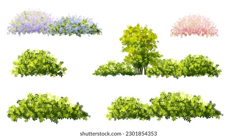 Vector of flower grass or blooming shrub isolated on white background,tree elevation for landscape concept,environment panorama scene,eco design,meadow for spring