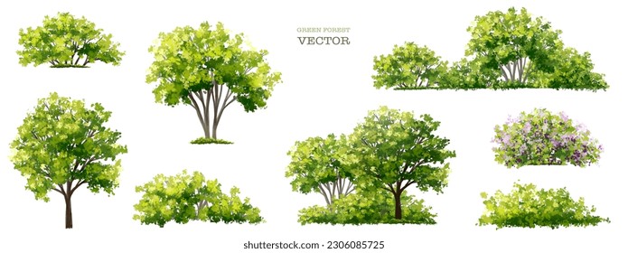 Vector de hierba de flores o arbusto floreciente aislado en fondo blanco, elevación de árboles para concepto de paisaje, escena exterior ambiental, diseño ecológico, pradera para primavera