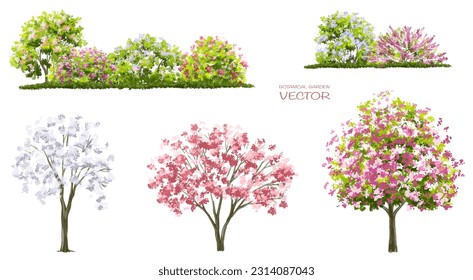 Vector of flower grass or blooming shrub isolated on white background,tree elevation for landscape concept,environment panorama scene,eco design,meadow for spring