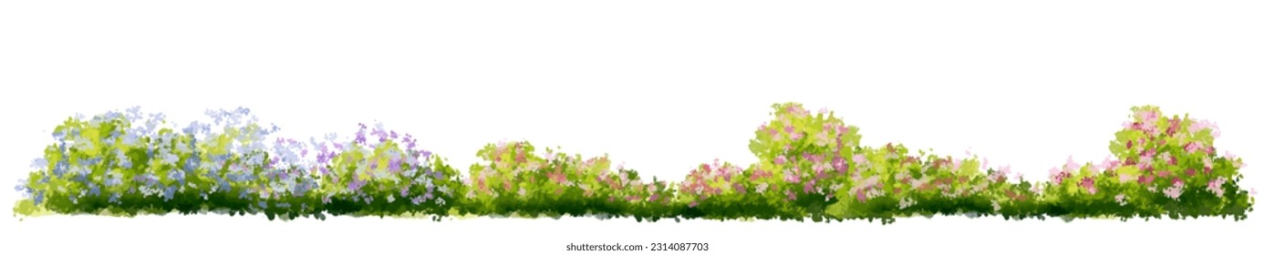 Vector of flower grass or blooming shrub isolated on white background,tree elevation for landscape concept,environment panorama scene,eco design,meadow for spring