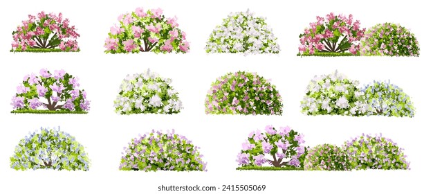 Vector of flower grass or blooming shrub site view isolated on white background ,watercolor tree elevation for landscape concept,environment panorama scene,eco design,meadow for spring