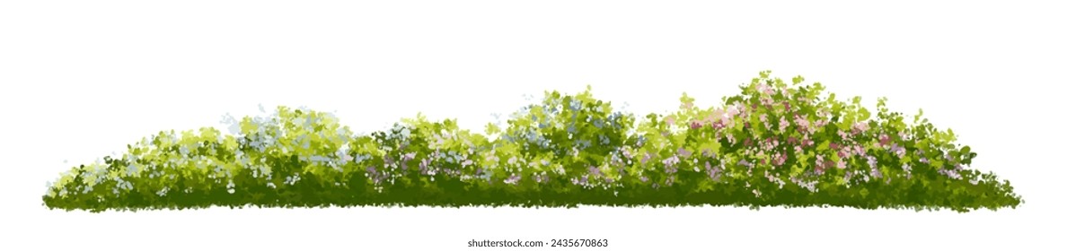 Vector de la hierba de la flor o de la vista del sitio del arbusto floreciente aislado en el fondo blanco, elevación del árbol de la acuarela para el concepto del paisaje, escena panorámica del medio ambiente, diseño ecológico, pradera para la primavera