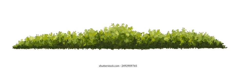 Vector de la hierba de la flor o de la vista del sitio del arbusto floreciente aislada en el fondo blanco, elevación del árbol de la acuarela para el concepto del paisaje, panorama del medio ambiente, diseño ecológico, pradera para la primavera