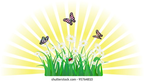 vector flower, grass, butterfly and ladybird
